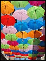 Colorful Umbrelas