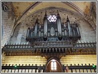 Organ