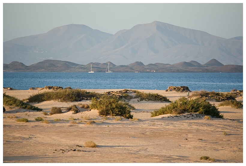 Isla de Lobos
