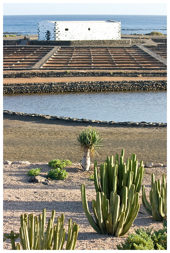 Museo de la Sal