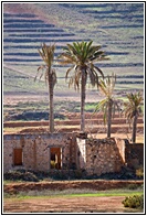 La Oliva