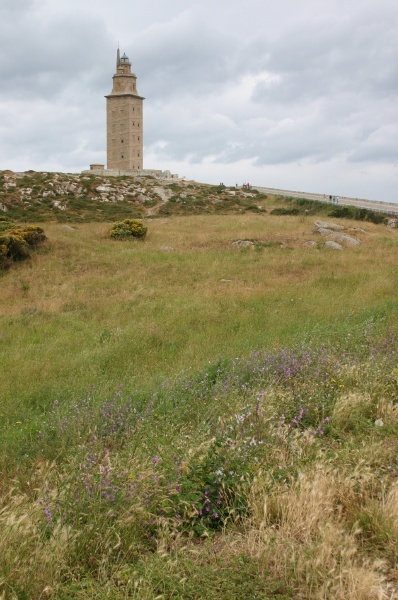 Tower of Hercules