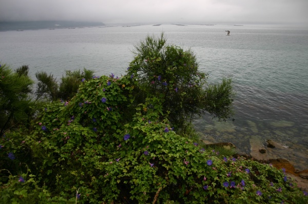 Near of Muros