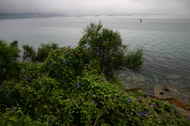 Near of Muros