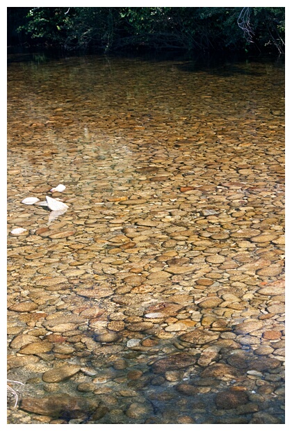 Aguas del Tera
