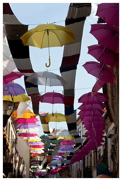 Paraguas Ornamentales