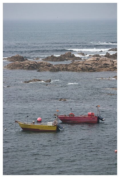 Barcos Pesqueros