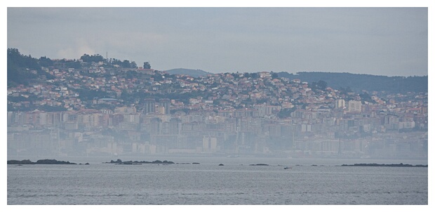 Vigo