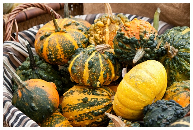 Calabazas