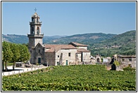 Viedos de Ribeiro