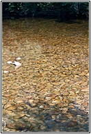 Aguas del Tera