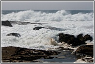 Olas Bravas