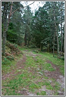 Monte Aloia
