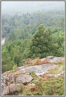Mirador