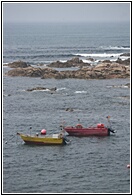 Barcos Pesqueros
