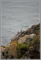 Refugio de Aves