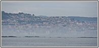Vigo