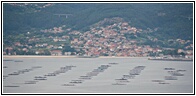 Ra de Vigo