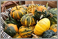 Calabazas