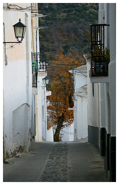 Callejuela de Trevlez
