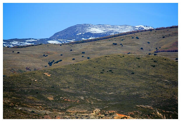 Sierra Nevada