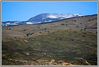 Sierra Nevada
