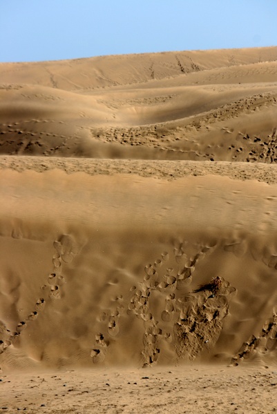 Dunas Pisadas