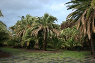 Jardn Botnico