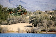 Maspalomas