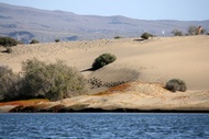 Agua Dulce y Arena