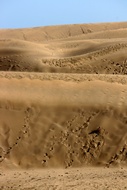 Dunas Pisadas