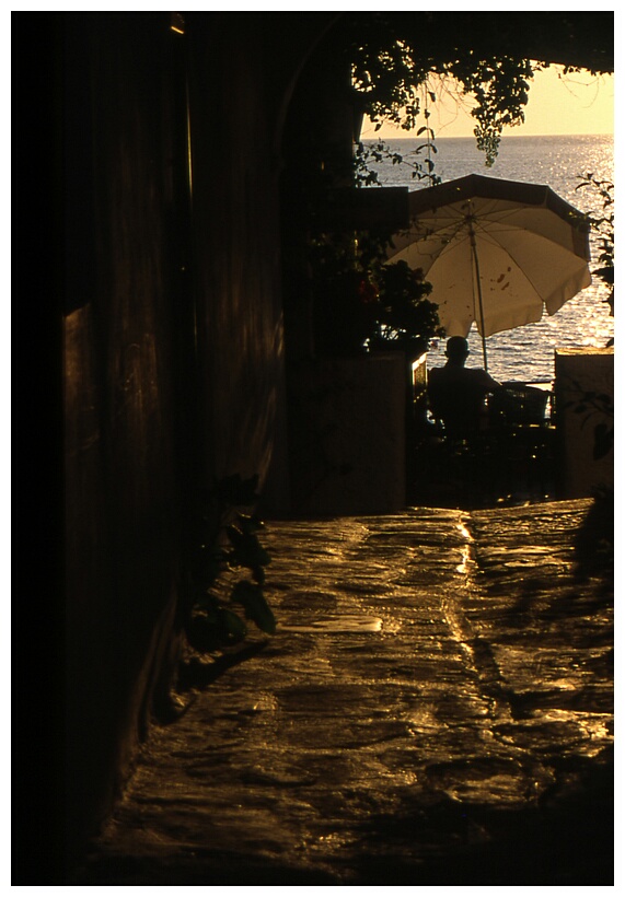 View against the Light