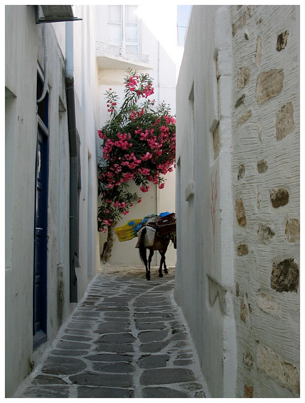 Narrow Alley