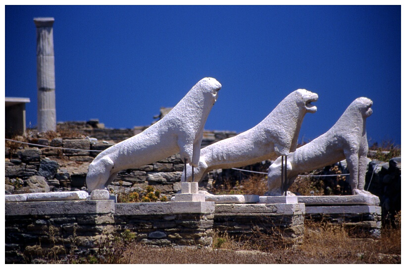 Delos Lions