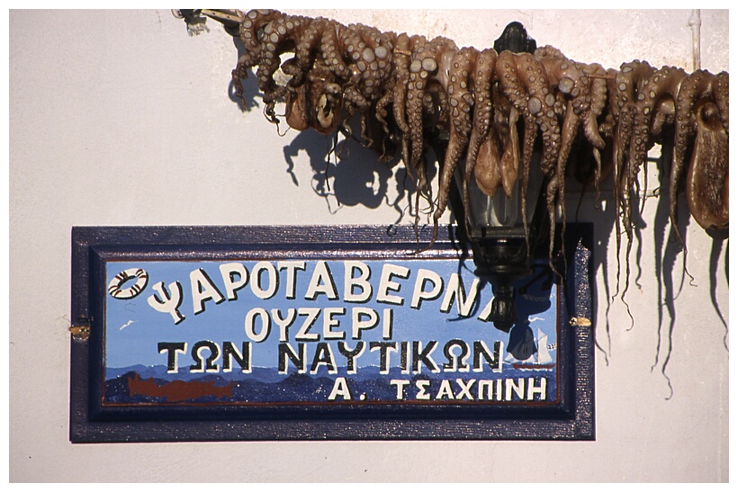 Octopus Drying