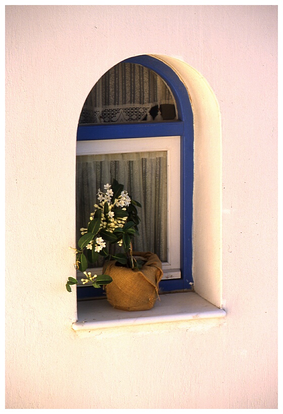 Window