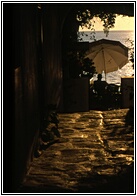 View against the Light