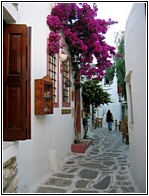 Naoussa Street