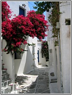 Lefkes