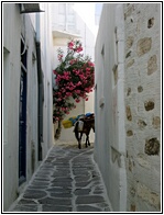 Narrow Alley