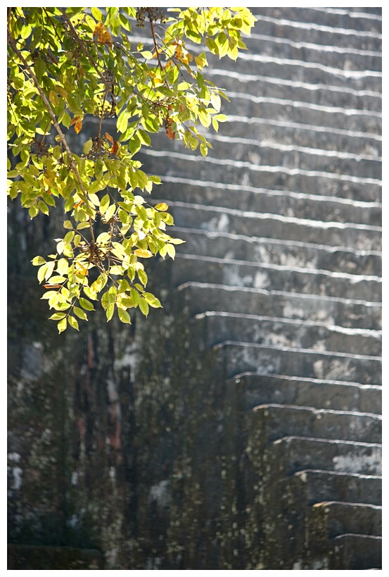 GUA_0511