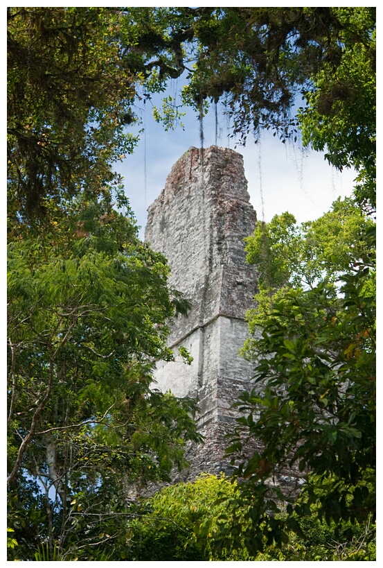 GUA_0516