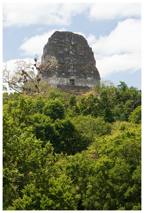 Tikal