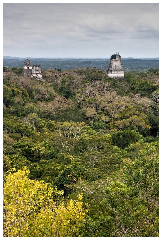 Tikal