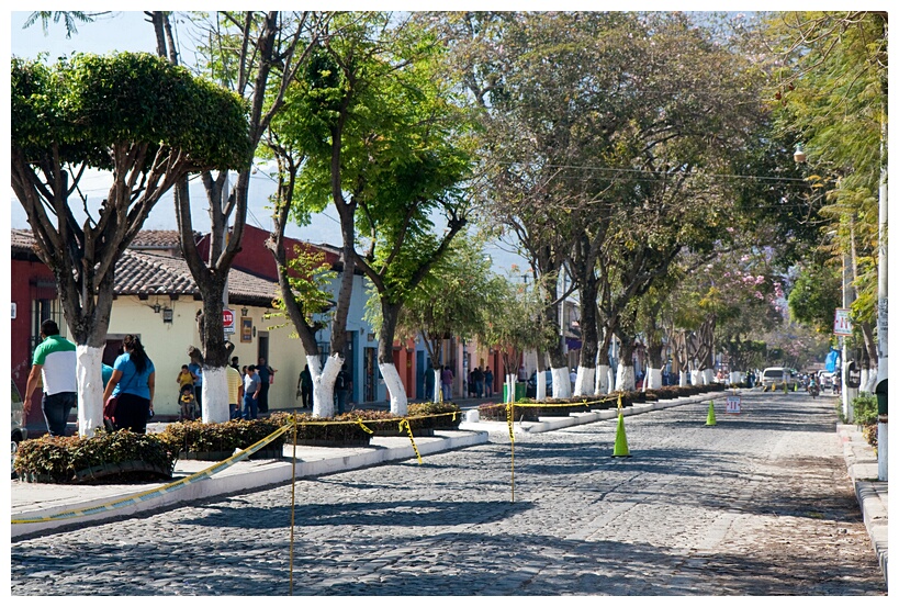 Alameda de Santa Luca