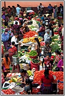 Mercado Cubierto