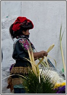 Tejiendo Palmas