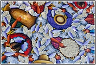 Pintura Naif