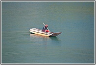 Cayuco