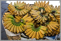 Pltanos